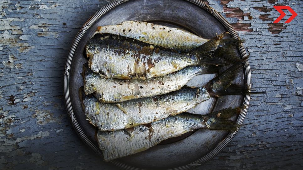 Alerta: Estas son las marcas de sardina que no debes comprar, según Profeco Profeco alerta sobre calidad de marcas de sardina.
