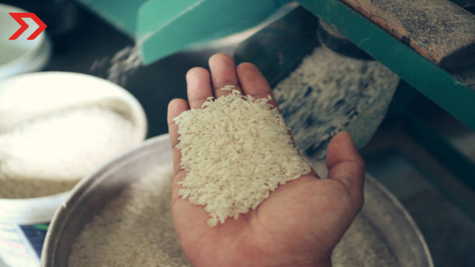 México importará arroz japonés para incrementar comercio binacional arroz