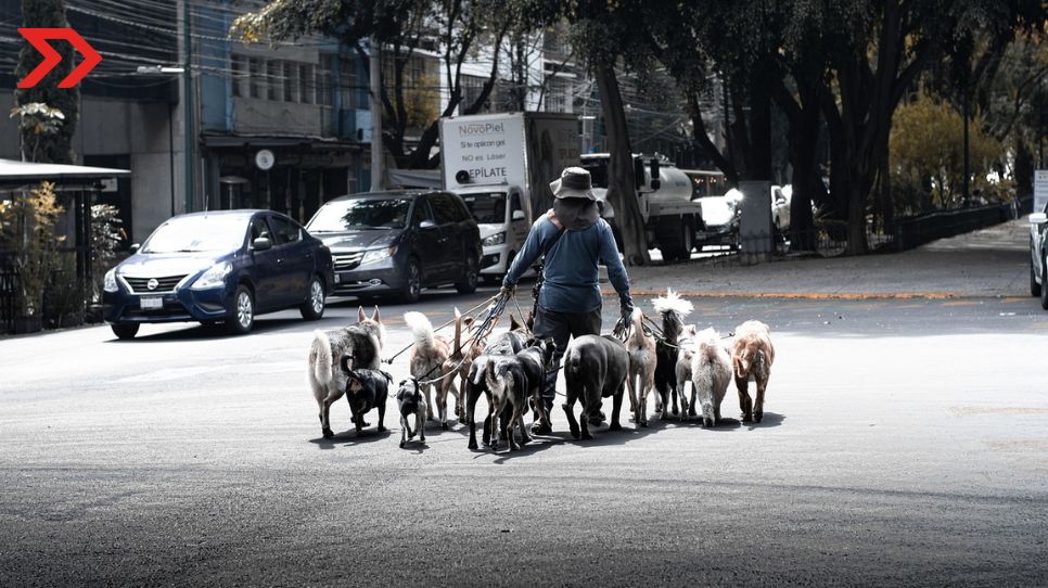 Desempleo e informalidad laboral en México aumentan en 3T de 2023 Desempleo e informalidad laboral se incrementan en México previo al cierre del 2023