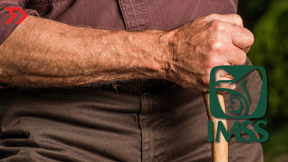 Pensión IMSS: este es el monto que aumentará en 2024