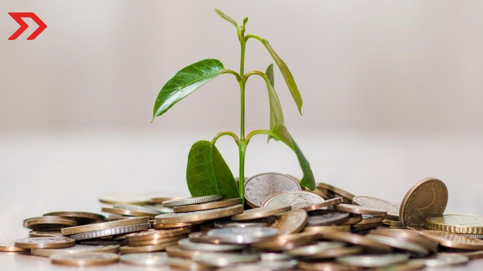 Entra en vigor incremento a salario mínimo en México este 2024; conoce el nuevo monto Así quedó el salario mínimo de México en 2024