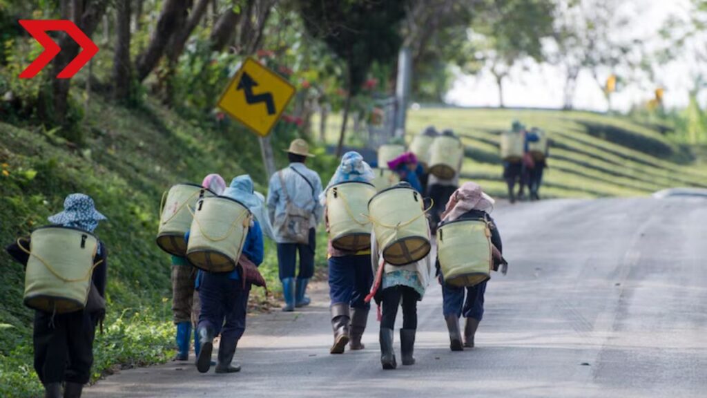 Aporte de los migrantes al PIB de Estados Unidos en 2024