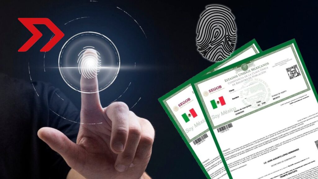 CURP biométrico: ¿Cuáles son los datos a los que tendrá acceso la nueva identificación oficial?