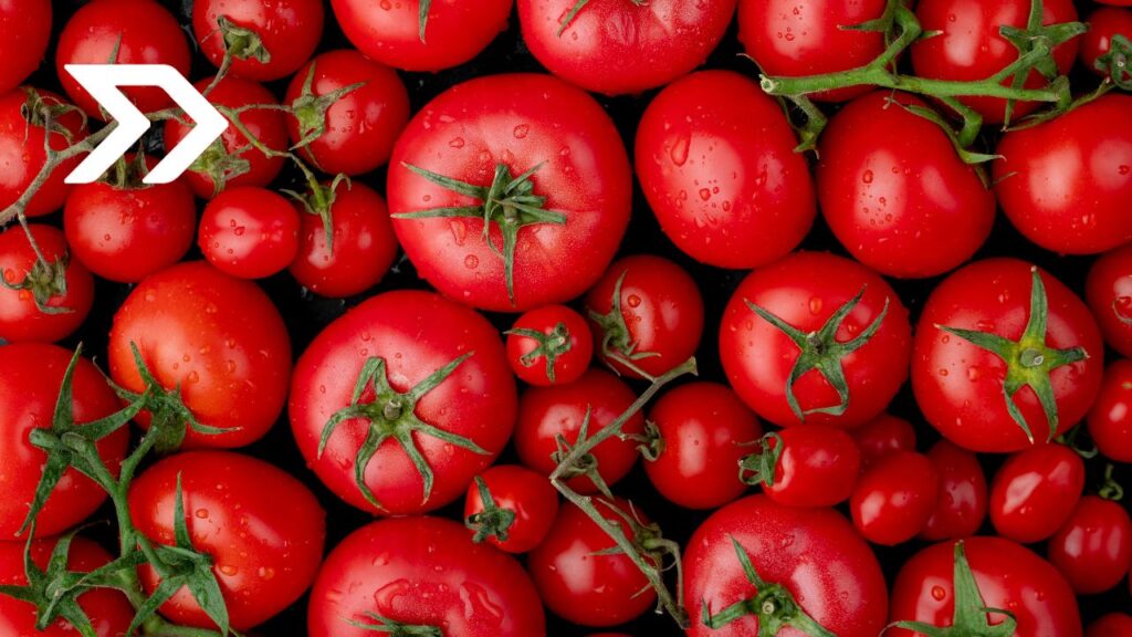 Economía y Agricultura publican precios mínimos de exportación para el jitomate en el DOF