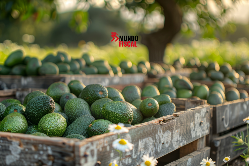 México exporta más aguacate, pero gana menos: caída de precios reduce ingresos pese a récord de ventas México lidera las exportaciones de aguacate, aunque la caída de precios y nuevos retos regulatorios reducen la rentabilidad del sector.